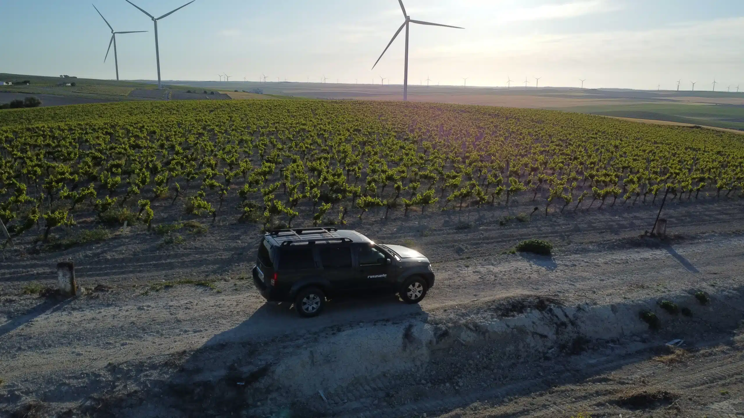 La vendimia ya está en marcha: descubre el Marco de Jerez entre viñedos.